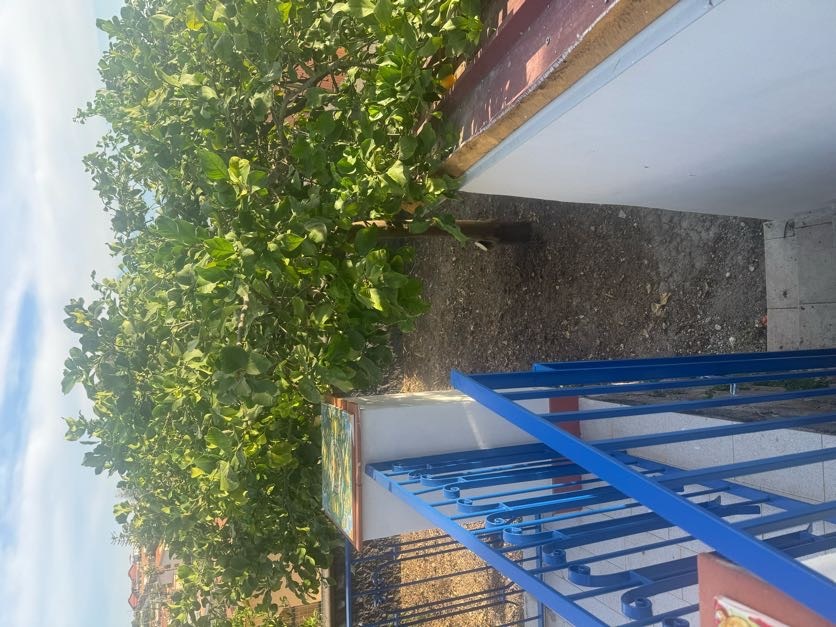 Etna Lemon Sea Gallery 10