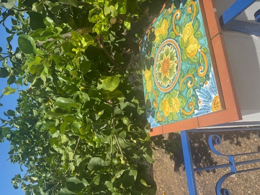 Etna Lemon Sea Gallery 26
