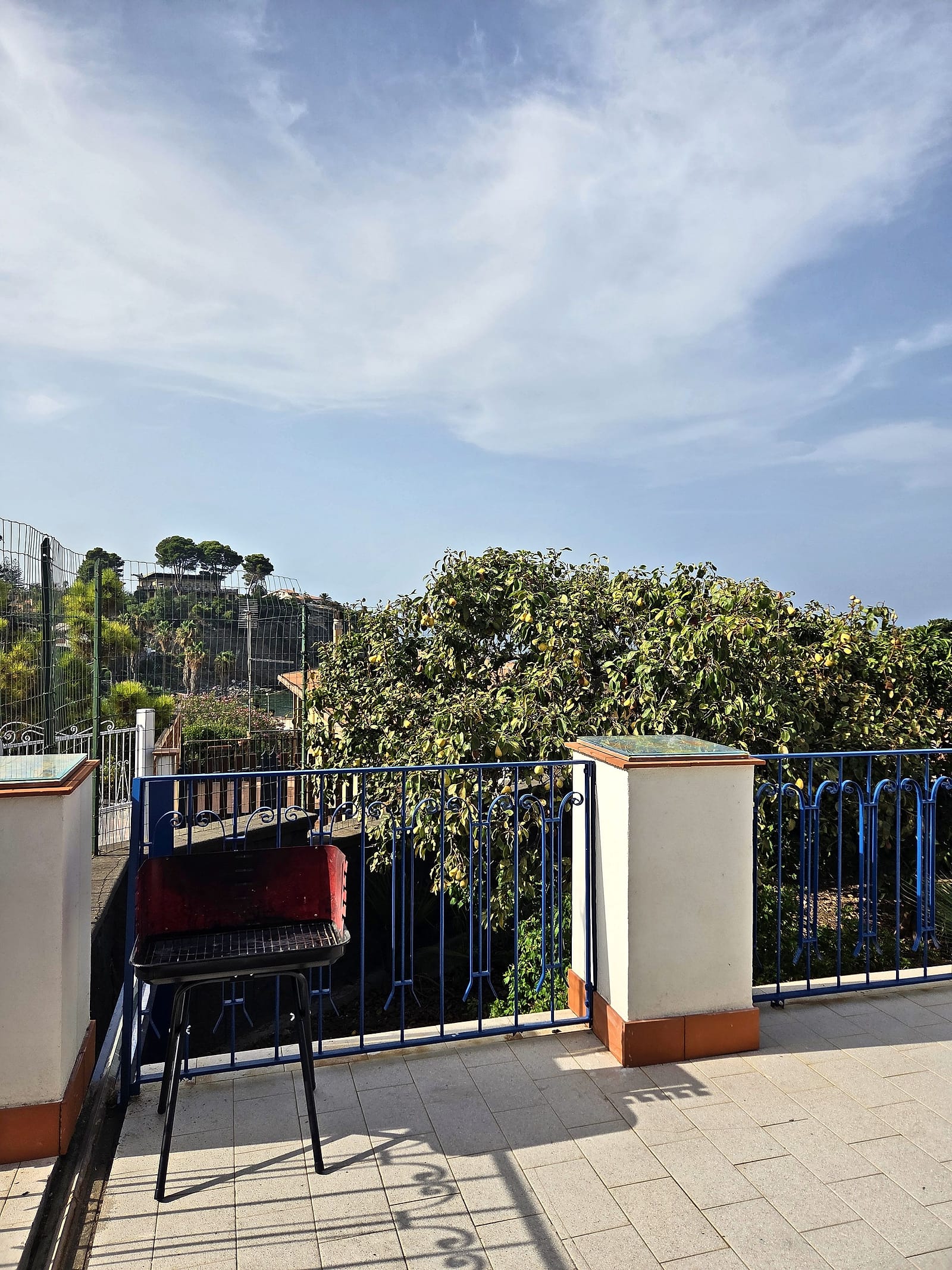 The barbecue on the terrace, next to the blue railing and the garden trees